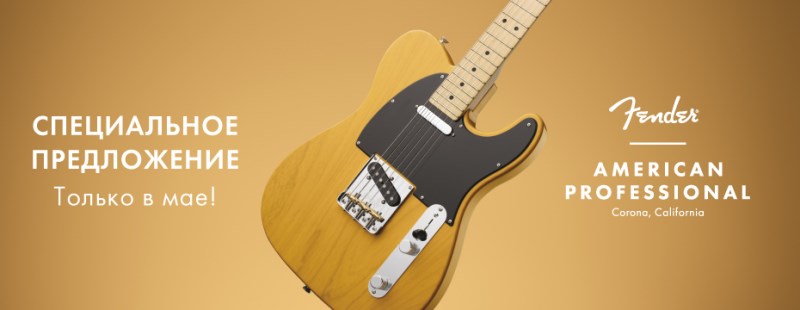 Fender:      